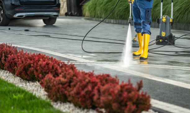Best Pressure Washing Near Me  in Liberty Triangle, FL